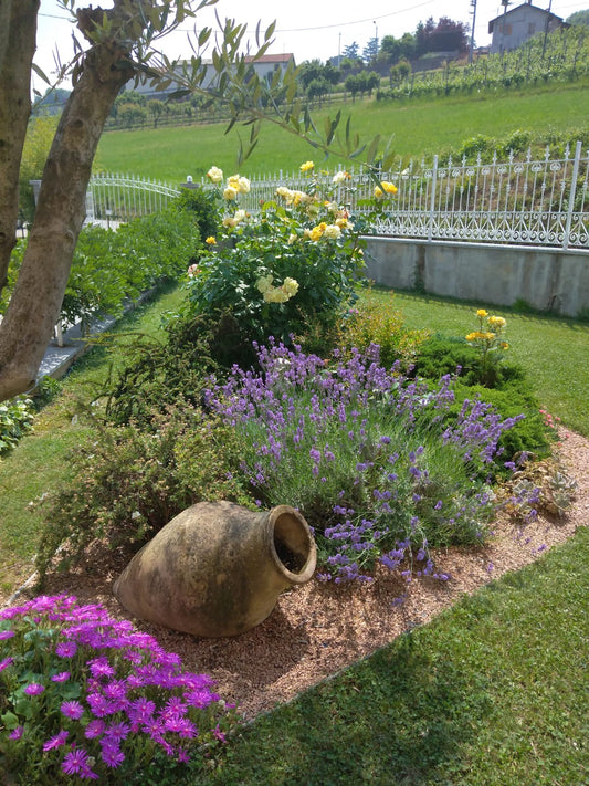 I giardini a bassa manutenzione a Pinerolo: la guida di Tiziana Aglì