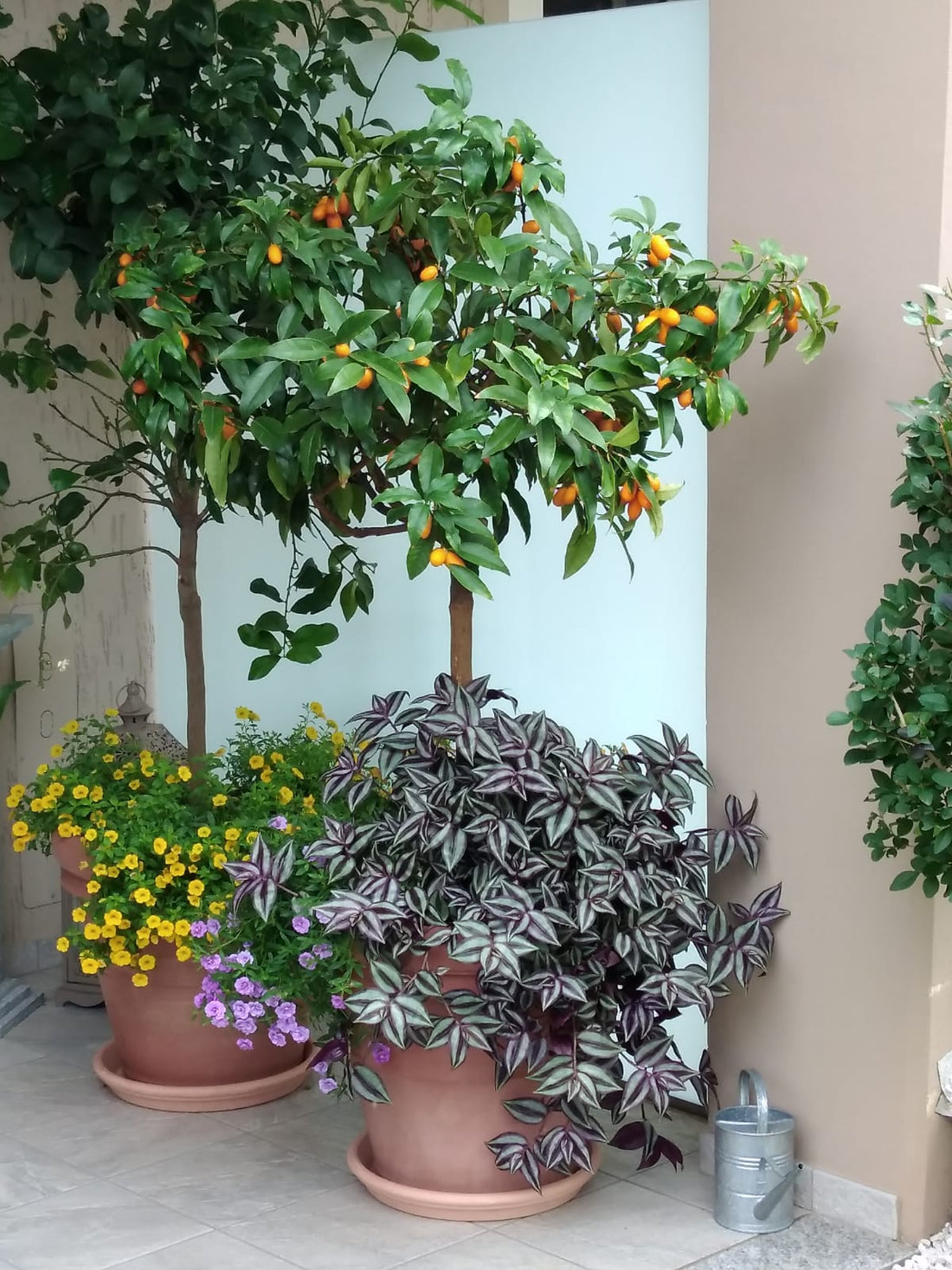 Come progettare un giardino a Pinerolo: idee e suggerimenti di Tiziana Aglì